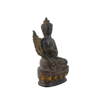 Buddha Medycyny 54